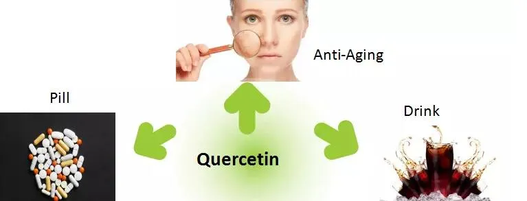 Quercetin Extract Powder
