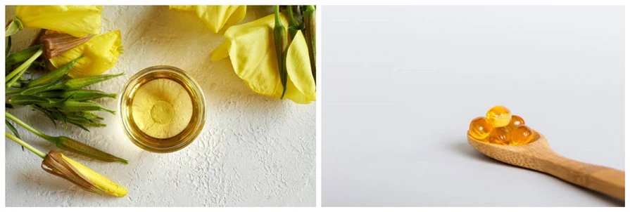 Applications of evening primrose Applications of evening primrose
