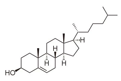Je fitosterol steroid?