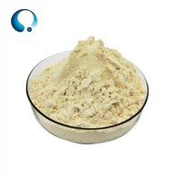 Izolat sojinih beljakovin v prahu