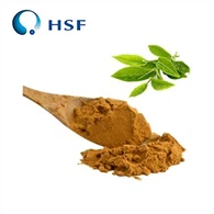 Polifenoli v prahu čaja